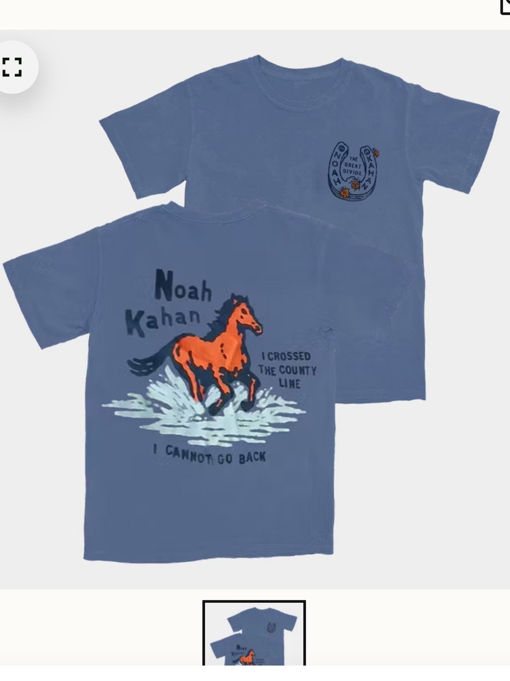 NWT Noah Kahan Blue Horse Graphic Tee